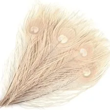 Quince plumas MWOOT blancas con ocelo, 28–32 cm