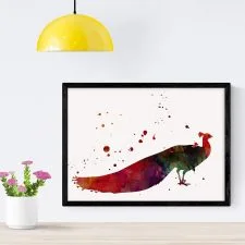 Lámina Nacnic de pavo real rojo en acuarela, A4 con marco