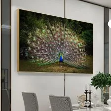 Lienzo de pavo real con cola abierta en el bosque · 70 × 105 cm