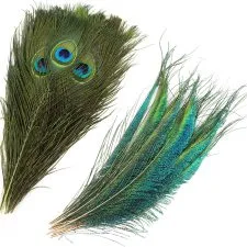Lote mixto MWOOT de treinta plumas de pavo real, 25–30 cm