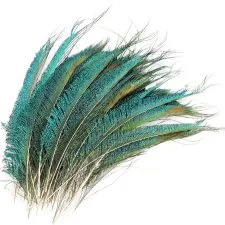 Treinta plumas de espada MWOOT, 25–35 cm