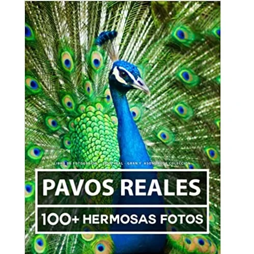 Pavos reales: libro de fotografías de Jana Villaneuva