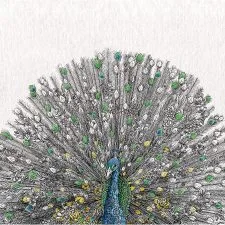 Paño Maxwell & Williams de pavo real Marini Ferlazzo, 50 × 70 cm