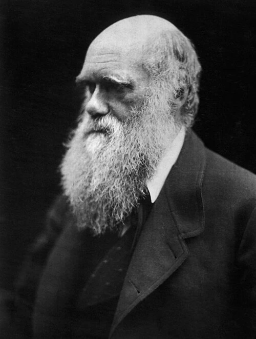 Retrato de Charles Darwin realizado por Julia Margaret Cameron, hacia 1868.