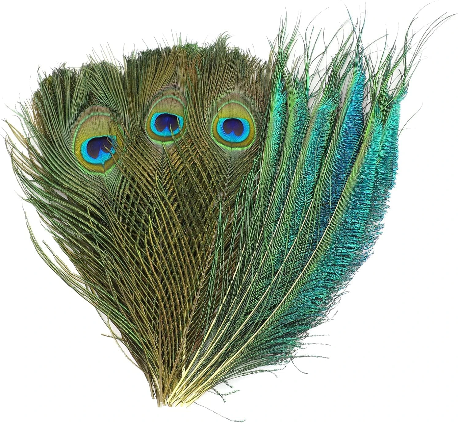 Cuarenta plumas MWOOT de pavo real · 20–25 cm