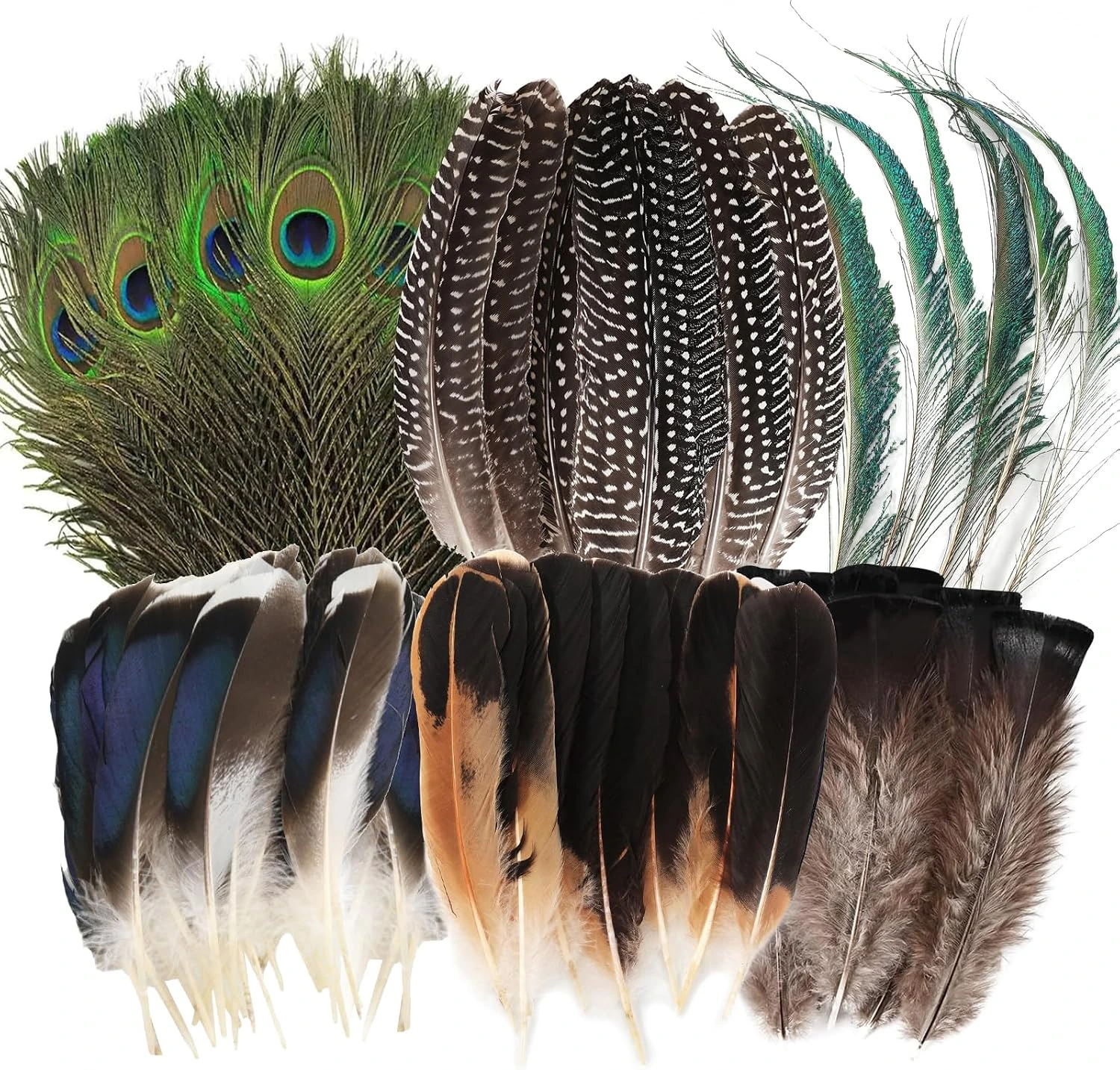 Surtido MWOOT de 48 plumas de varias aves