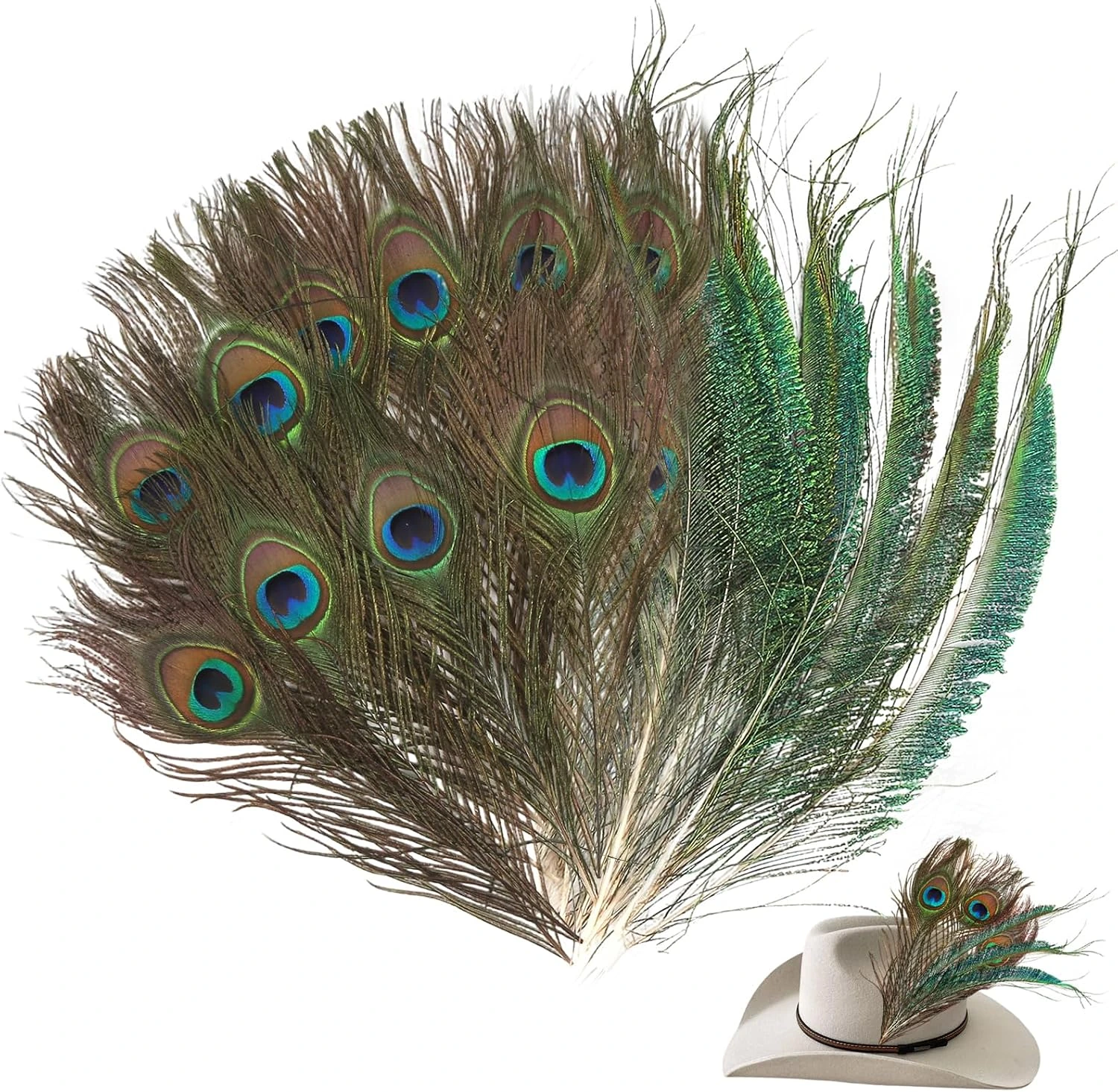 Veinte plumas para decorar · diez con ocelo y diez sin él