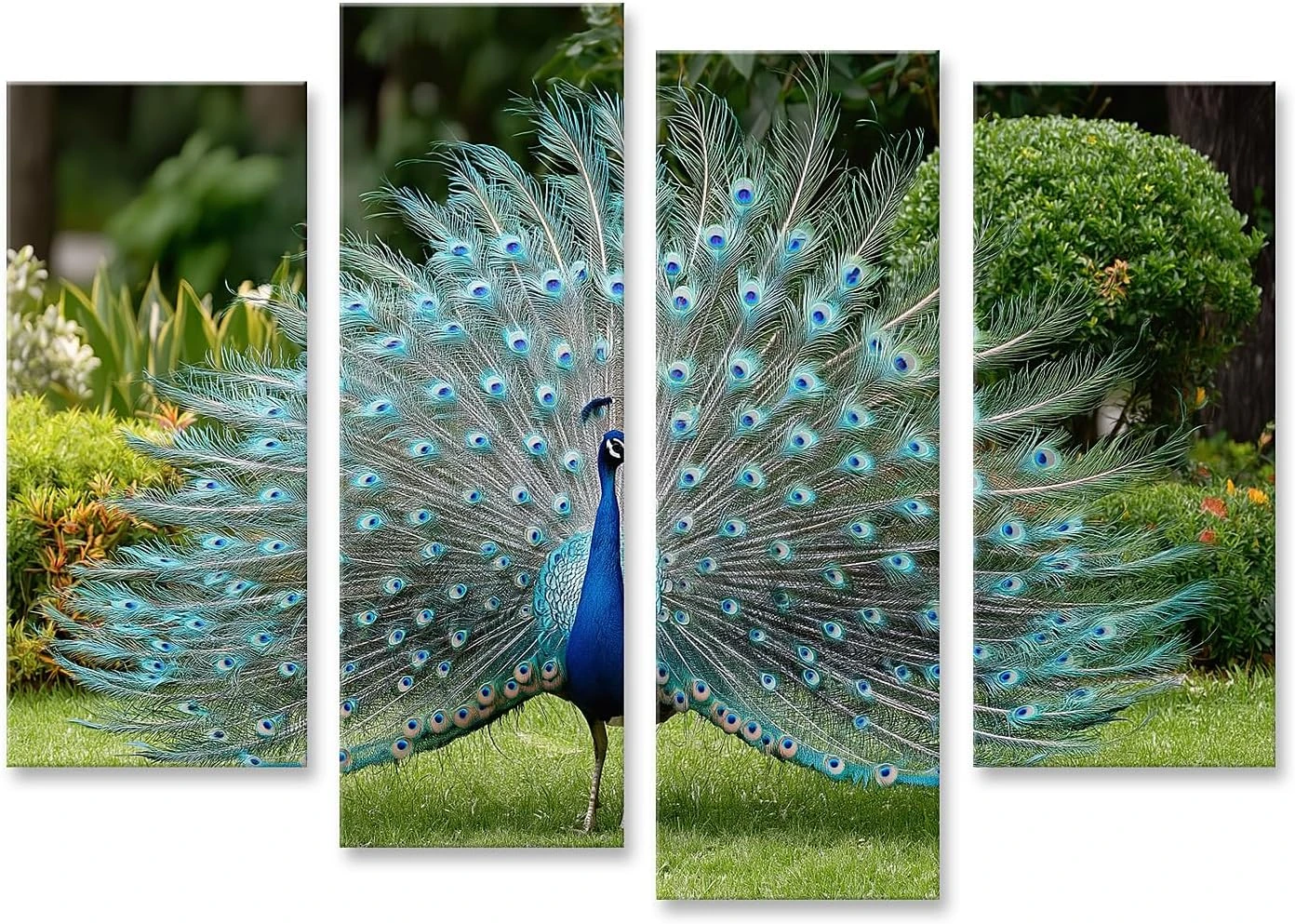 Lienzo Islandburner de pavo real en jardín · cuatro paneles