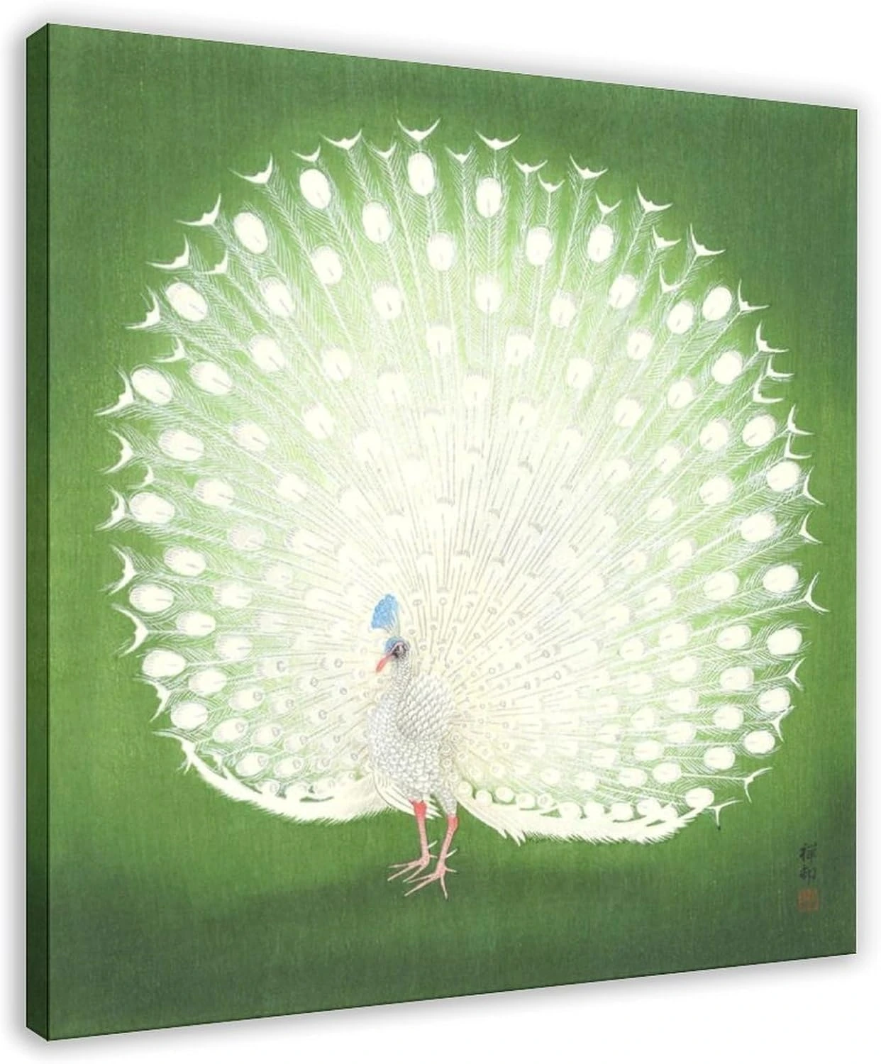 Lienzo WCYB de pavo real blanco sobre verde · 30,5 cm