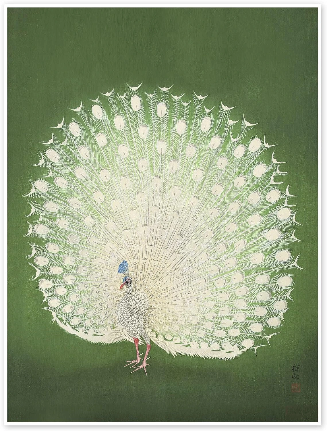 Póster Posterlounge de pavo real blanco · 30 × 40 cm