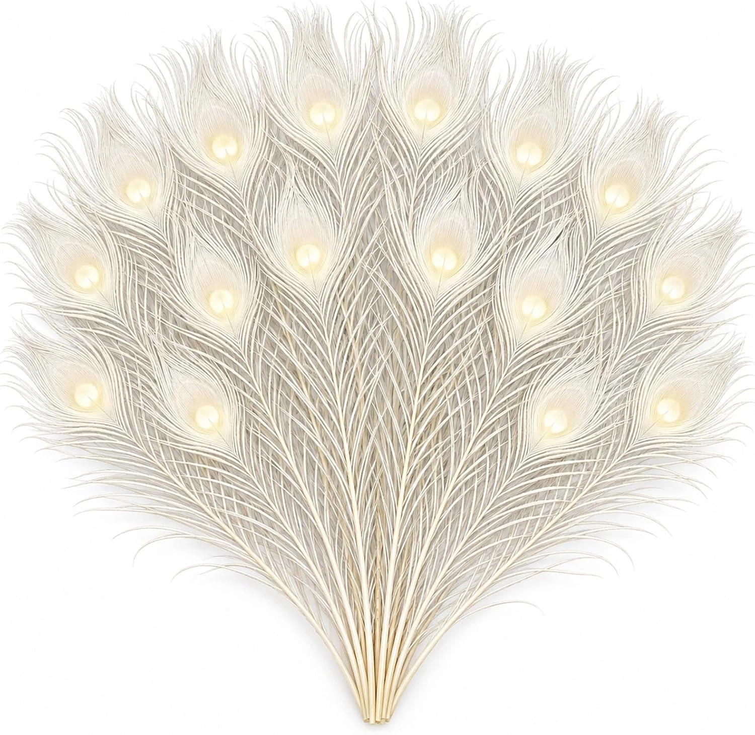 Conjunto Jutojuvuw de 16 plumas decorativas blancas